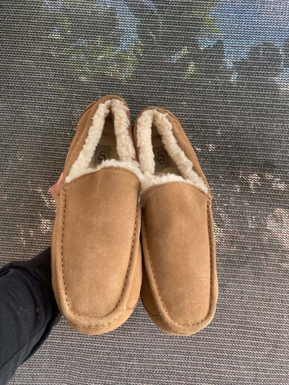 UGG Ascot Suede Slippers Chestnut Men's Size 12